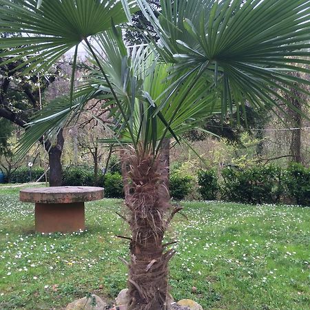 Locanda Irene Monte San Pietro Exteriér fotografie